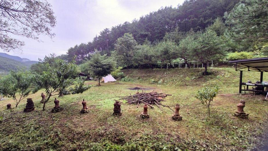 z5.jpg